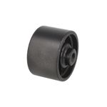 Auto si Moto - Piese auto si accesorii - Caroserie - Protectii motor si accesorii - Suport motor Land Rover FREELANDER Soft Top LN FORTUNE LINE FZ91155 - Infinity.ro