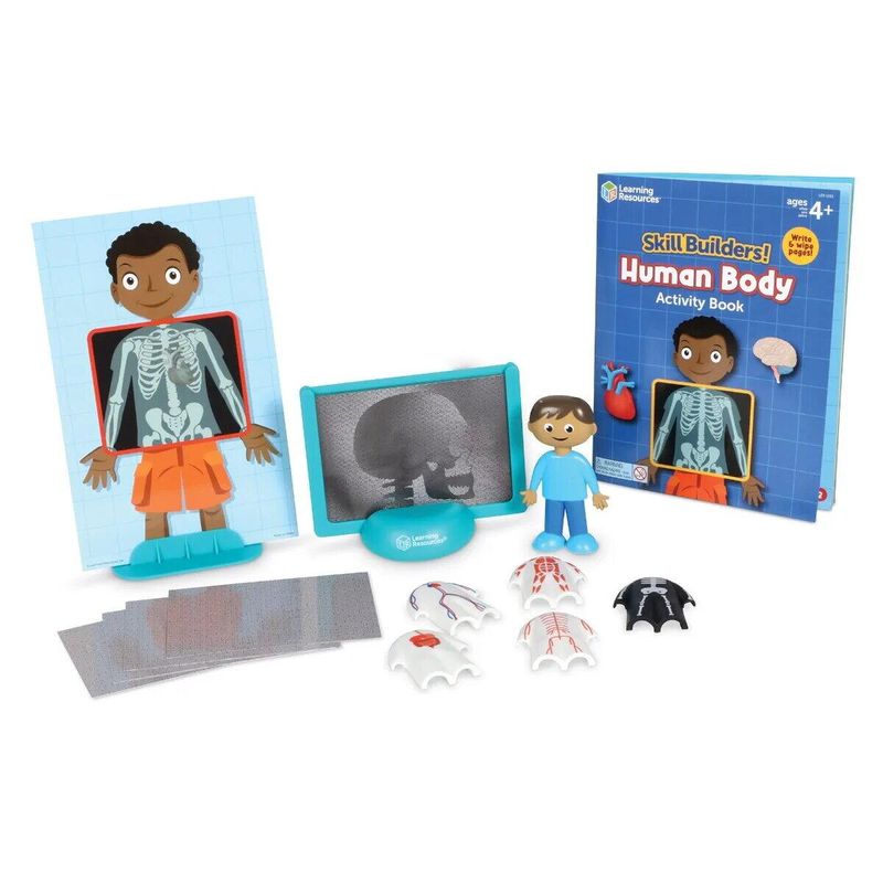 Jucarii, Copii si Bebe - Jucarii si jocuri - Jucarii & jocuri educative - Jocuri si jucarii educative - Set activitati educative - Corpul uman - Infinity.ro