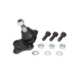 Auto si Moto - Piese auto si accesorii - Piese auto - Sisteme de directie - Pivot Dacia DUSTER FORTUNE LINE FZ3299 - Infinity.ro