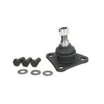 Auto si Moto - Piese auto si accesorii - Piese auto - Sisteme de directie - Pivot Peugeot BOXER caroserie FORTUNE LINE FZ3822 - Infinity.ro