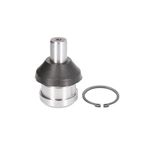 Auto si Moto - Piese auto si accesorii - Piese auto - Sisteme de directie - Pivot Chrysler VOYAGER III GS FORTUNE LINE FZ3820 - Infinity.ro