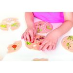 Jucarii, Copii si Bebe - Jucarii si jocuri - Jucarii & jocuri educative - Jocuri si jucarii educative - Joc din lemn Ciclul vietii - Infinity.ro