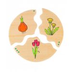Jucarii, Copii si Bebe - Jucarii si jocuri - Jucarii & jocuri educative - Jocuri si jucarii educative - Joc din lemn Ciclul vietii - Infinity.ro