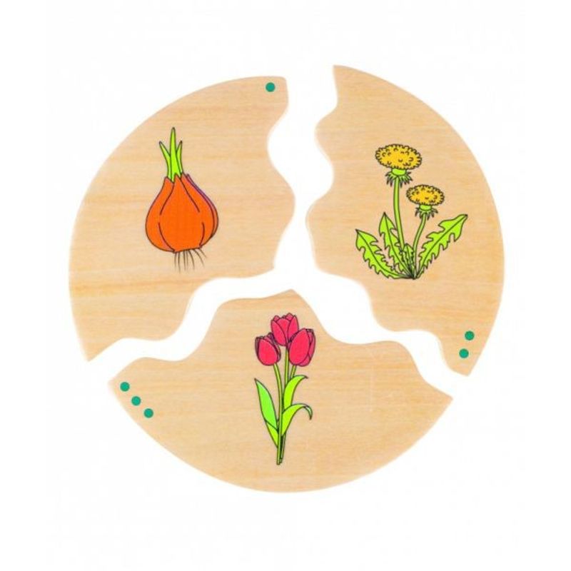 Jucarii, Copii si Bebe - Jucarii si jocuri - Jucarii & jocuri educative - Jocuri si jucarii educative - Joc din lemn Ciclul vietii - Infinity.ro