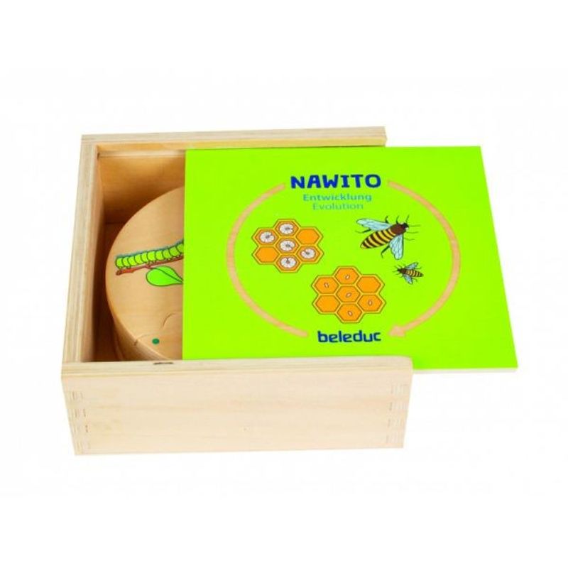 Jucarii, Copii si Bebe - Jucarii si jocuri - Jucarii & jocuri educative - Jocuri si jucarii educative - Joc din lemn Ciclul vietii - Infinity.ro