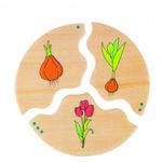 Jucarii, Copii si Bebe - Jucarii si jocuri - Jucarii & jocuri educative - Jocuri si jucarii educative - Joc din lemn Ciclul vietii - Infinity.ro