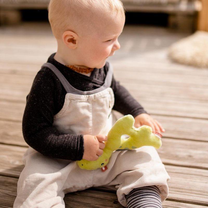 Jucarii, Copii si Bebe - Jucarii si jocuri - Jucarii bebelusi - Jucarii zornaitoare - Zornaitoare - Dinozaur - Infinity.ro