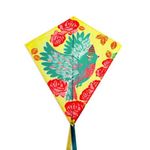 Jucarii, Copii si Bebe - Jucarii si jocuri - Jucarii de exterior - Zmeie si jucarii zburatoare - Zmeu Pasare - Primul meu zmeu - Infinity.ro