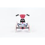 Jucarii, Copii si Bebe - Jucarii si jocuri - Jucarii de exterior - Masinute si vehicule pentru copii - Kart BERG Buzzy Bloom - Infinity.ro