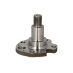 Auto si Moto - Anvelope si jante - Roti auto - Butuc roata VW NEW BEETLE Cabriolet 1Y7 BTA H5W029BTA - Infinity.ro