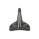 Auto si Moto - Anvelope si jante - Roti auto - Butuc roata fuzeta VW POLO CLASSIC 6KV2 BTA H5W007BTA - Infinity.ro