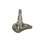 Auto si Moto - Anvelope si jante - Roti auto - Butuc roata fuzeta VW GOLF II 19E 1G1 BTA H5W008BTA - Infinity.ro