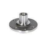 Auto si Moto - Anvelope si jante - Roti auto - Butuc roata DACIA SANDERO BTA H5R011BTA - Infinity.ro