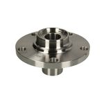 Auto si Moto - Anvelope si jante - Roti auto - Butuc roata VW PASSAT Variant 3B5 BTA H5W011BTA - Infinity.ro