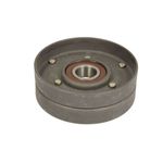 Auto si Moto - Piese auto si accesorii - Piese auto - Componente motor si accesorii - Intinzator curea NISSAN TERRANO II R20 BTA E21006BTA - Infinity.ro