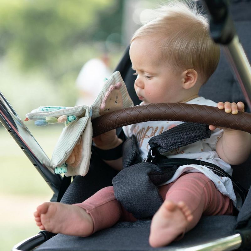 Carti si Birotica - Carti - Carti pentru copii - Carti pentru bebelusi - Carticica din plus pentru bebelusi - Caracatita - Infinity.ro