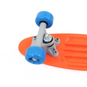 Sport si Outdoor - Role, trotinete si skateboard - Piese si accesorii skateboard, longboard si cruiser - Infinity.ro