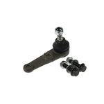 Auto si Moto - Piese auto si accesorii - Piese auto - Sisteme de directie - Pivot Volvo 440 K 445 FORTUNE LINE FZ3712 - Infinity.ro