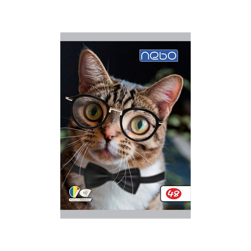 Carti si Birotica - Rechizite - Caiete - Caiete dictando - Caiet A5 48 file,foi veline, 7Toys - Infinity.ro