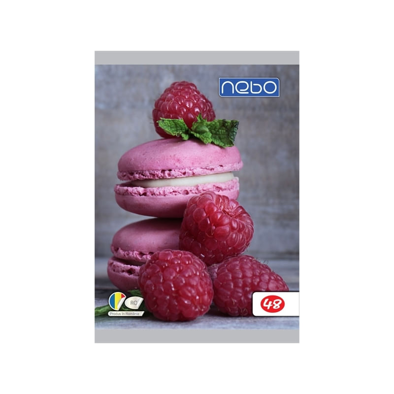 Carti si Birotica - Rechizite - Caiete - Caiete dictando - Caiet A5 48 file,foi veline, 7Toys - Infinity.ro