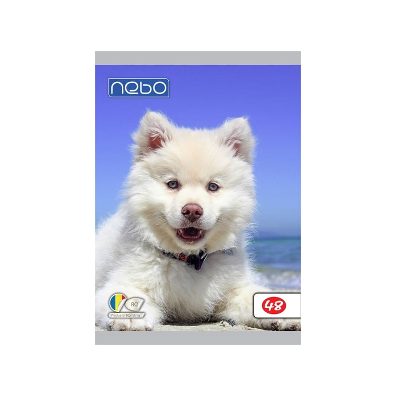 Carti si Birotica - Rechizite - Caiete - Caiete dictando - Caiet A5 48 file,foi veline, 7Toys - Infinity.ro