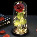 Market - Cadouri - Flori si aranjamente - Trandafir in Glob de Sticla cu Iluminare LED, Alimentare pe Baterii, 22x11.5cm, Cutie de Cadou Inclusa - Infinity.ro