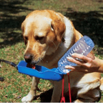 Petshop - Accesorii petshop - Castroane si adapatori - Sticla Apa Caini si Pisici cu Castron pentru Adapare - Portabila Capacitate 500 ml Rosu G Glixicom® - Infinity.ro