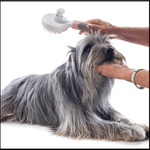 Petshop - Ingrijire si Igiena - Produse uz extern - Perii si manusi - Perie Par Caini Pisici si alte Animale Cu Buton Autocuratare si Dinti Rotunjiti la Capete 23 x 13 cm - Infinity.ro