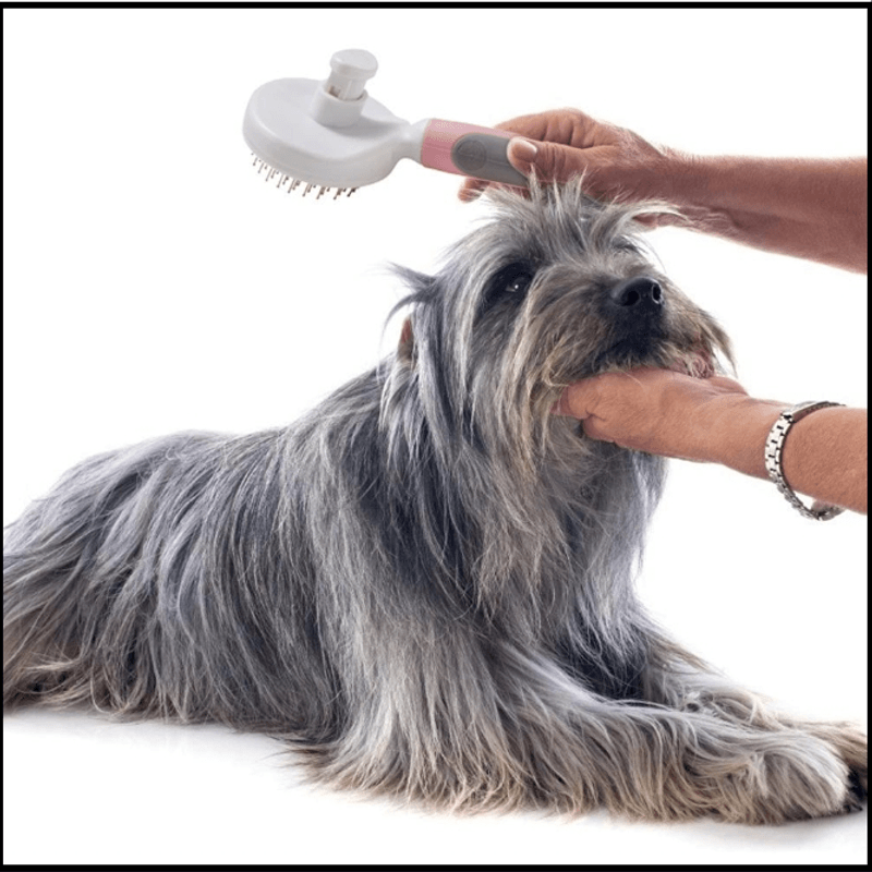 Petshop - Ingrijire si Igiena - Produse uz extern - Perii si manusi - Perie Par Caini Pisici si alte Animale Cu Buton Autocuratare si Dinti Rotunjiti la Capete 23 x 13 cm - Infinity.ro