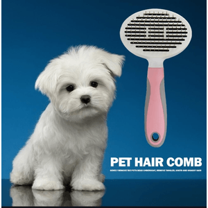 Petshop - Ingrijire si Igiena - Produse uz extern - Infinity.ro