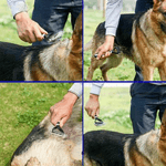 Petshop - Ingrijire si Igiena - Produse uz extern - Perii si manusi - Perie Par Caini Pisici si alte Animale Cu Pieptene pe 2 Sensuri pentru Descalcire Marime S Roz 17 x 7 cm Roz G Glixicom® - Infinity.ro