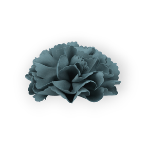 Casa si Gradina - Decoratiuni - DIY - Infinity.ro