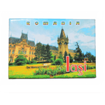 Market - Cadouri - Suveniruri - Magnet suvenir Iasi 8 x 5.5 cm - Infinity.ro