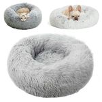 Petshop - Accesorii petshop - Culcusuri si custi - Culcusuri si saltele - Culcus pentru animale de companie,Caini si pisici,Diametru 50 cm,Gri - Gri - Infinity.ro