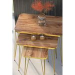 Casa si Gradina - Mobilier - Mese si birouri - Masute de cafea - Set 3 mese cafea Square Zigon, , pal, EHA, Walnut - Infinity.ro