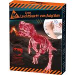 Jucarii, Copii si Bebe - Jucarii si jocuri - Jucarii & jocuri educative - Jocuri si jucarii educative - Kit pentru excavare dinozaur fosforescent Moses MS40226 - Infinity.ro