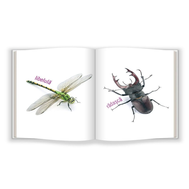 Carti si Birotica - Carti - Carti pentru copii - Carti interactive - Gazele - Infinity.ro