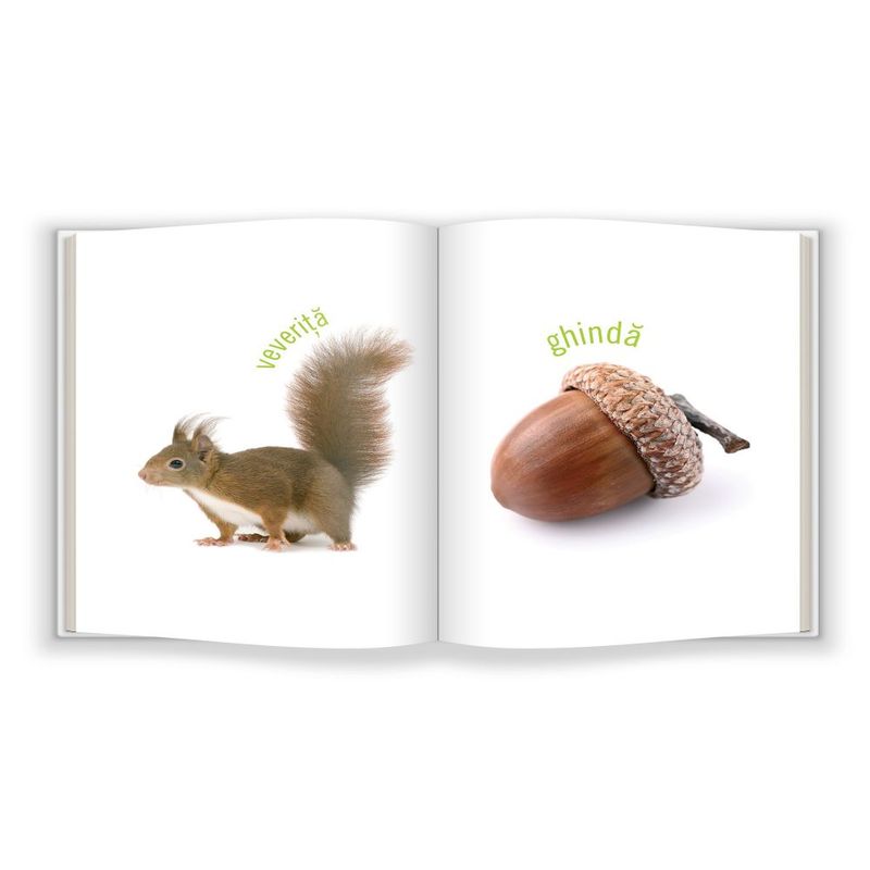 Carti si Birotica - Carti - Carti pentru copii - Carti pentru bebelusi - Bebe cunoaste Natura - Infinity.ro