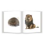 Carti si Birotica - Carti - Carti pentru copii - Carti interactive - Animalele salbatice - Infinity.ro