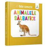 Carti si Birotica - Carti - Carti pentru copii - Carti interactive - Animalele salbatice - Infinity.ro