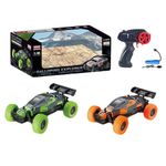 Jucarii, Copii si Bebe - Jucarii si jocuri - Vehicule si jucarii cu telecomanda - Masinute - Masina F1 cu RC - Infinity.ro