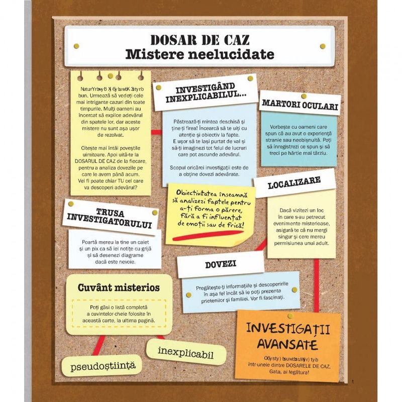 Carti si Birotica - Carti - Carti pentru copii - Carti interactive - Mistere neelucidate. Poti tu sa explici inexplicabilul?, Susan Martineau - Infinity.ro