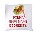 Casa si Gradina - Textile si covoare - Perne si pilote - Perne decorative - Perna cu mesaj "unei mame deosebite" - Infinity.ro