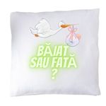 Casa si Gradina - Textile si covoare - Perne si pilote - Perne decorative - Perna "baiat sau fata" - Infinity.ro