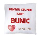 Casa si Gradina - Textile si covoare - Perne si pilote - Perne decorative - Perna "pentru cel mai bun bunic" - Infinity.ro