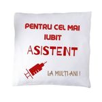 Casa si Gradina - Textile si covoare - Perne si pilote - Perne decorative - Perna "pentru cel mai iubit asistent" - Infinity.ro