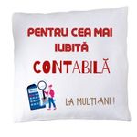 Casa si Gradina - Textile si covoare - Perne si pilote - Perne decorative - Perna "pentru cea mai buna contabila" - Infinity.ro