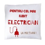 Casa si Gradina - Textile si covoare - Perne si pilote - Perne decorative - Perna "pentru cel mai bun electrician" - Infinity.ro