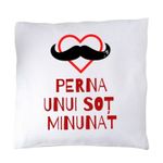 Casa si Gradina - Textile si covoare - Perne si pilote - Perne decorative - Perna unui sot minunat - Infinity.ro