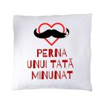 Casa si Gradina - Textile si covoare - Perne si pilote - Perne decorative - Perna unui tata minunat - Infinity.ro